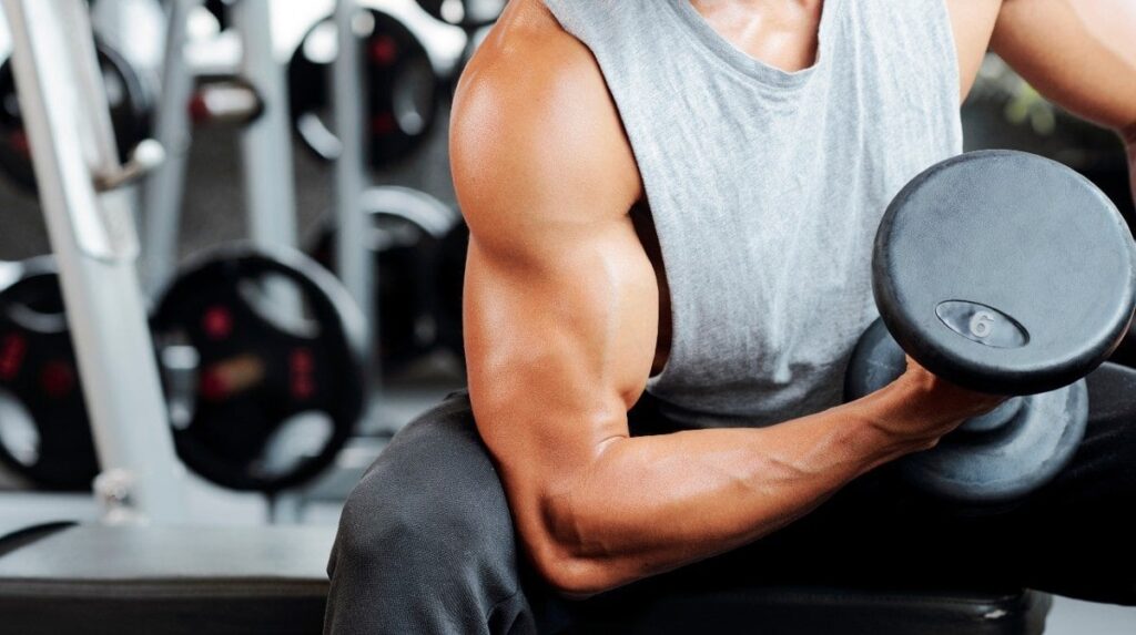 https://voiceofindia.digital/Top 6 Shoulder Workouts to Get Wide & Powerful Shoulders